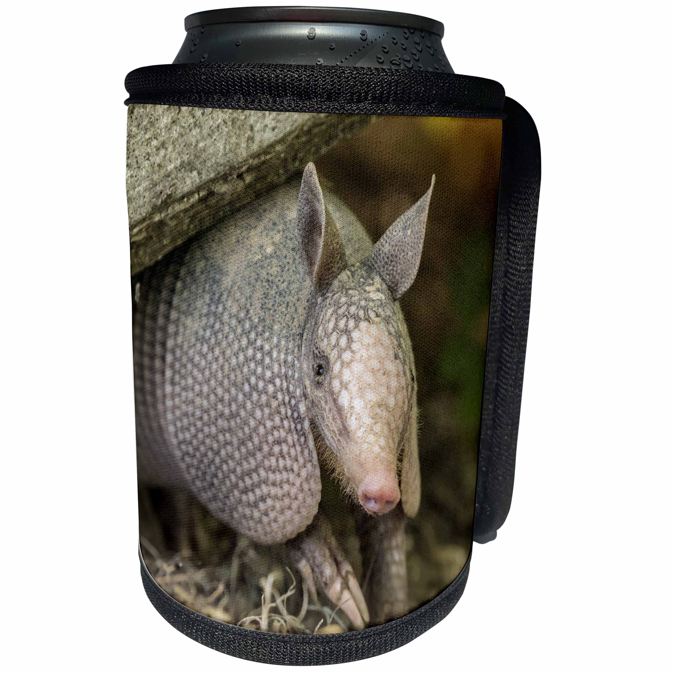 3dRose Danita Delimont - Armadillo - USA, Louisiana, Lake Martin. Young nine-banded armadillo. - Can Cooler Bottle Wrap (cc_259382)