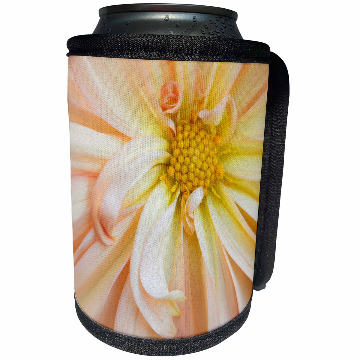 3dRose Danita Delimont - Flowers - USA, Maine, Harpswell. Detail of a pale peach Dahlia - Can Cooler Bottle Wrap (cc_259385)