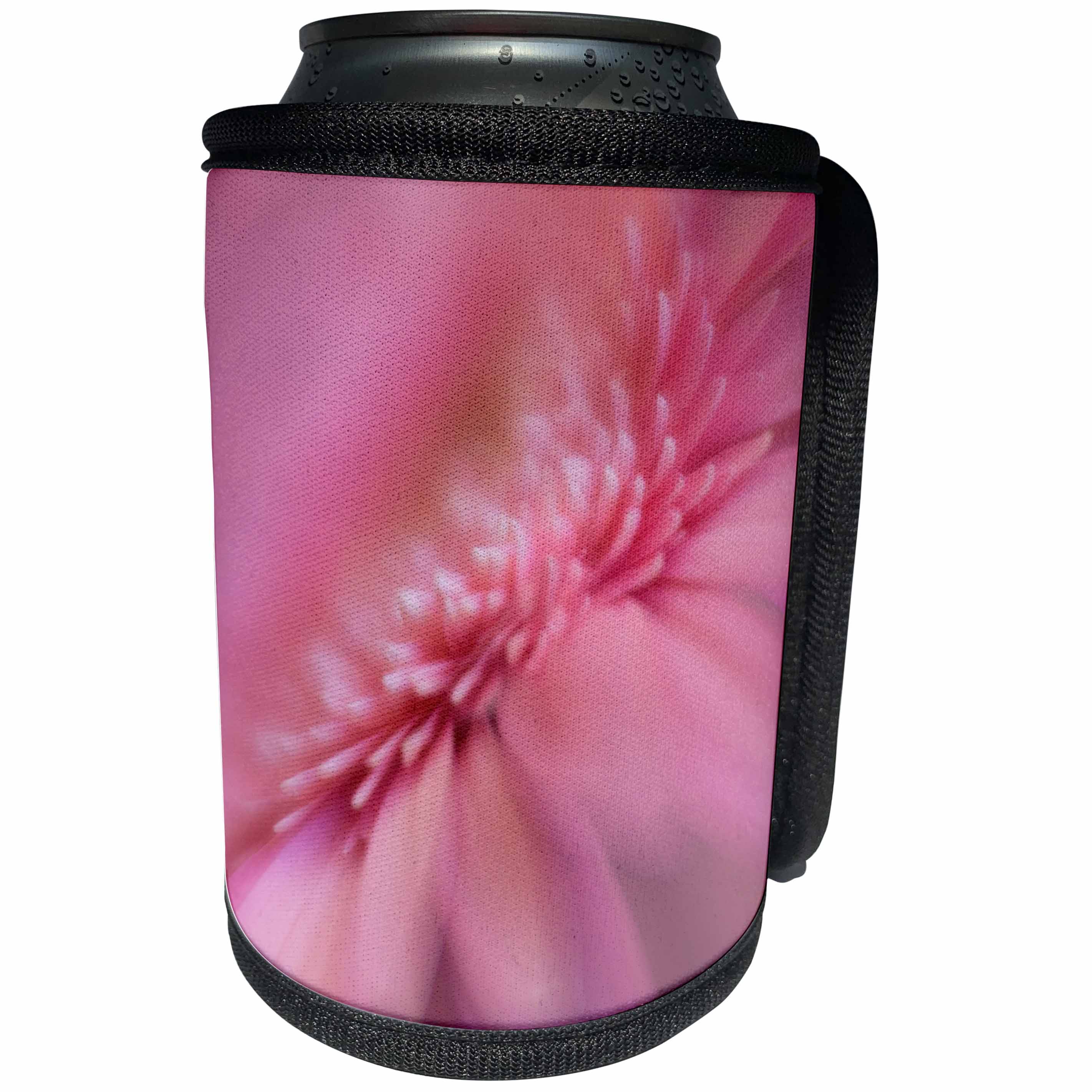 3dRose Danita Delimont - Flowers - USA, Maine, Harpswell. Pink gerbera daisy abstract. - Can Cooler Bottle Wrap (cc_259386)