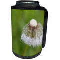 3dRose Danita Delimont - Flowers - USA, Maine, Harpswell. Dew on dandelion. - Can Cooler Bottle Wrap (cc_259387)