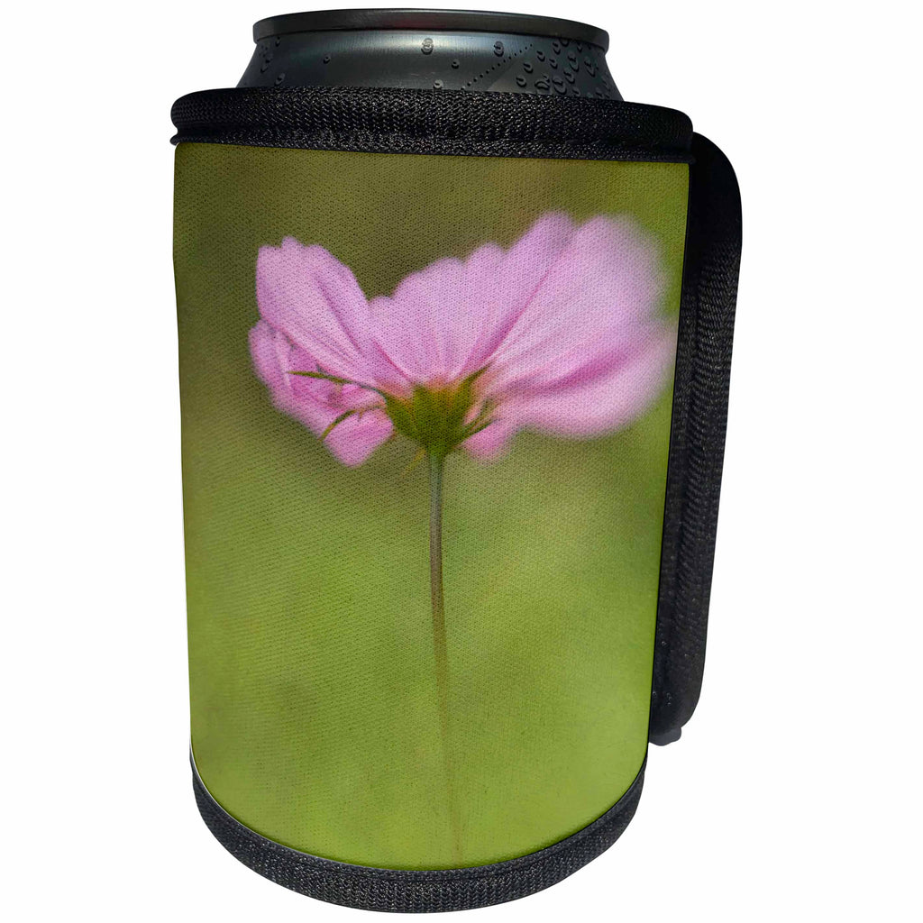 3dRose Danita Delimont - Flowers - USA, Maine, Harpswell. Cosmos flower. - Can Cooler Bottle Wrap (cc_259395)