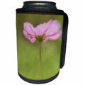 3dRose Danita Delimont - Flowers - USA, Maine, Harpswell. Cosmos flower. - Can Cooler Bottle Wrap (cc_259395)