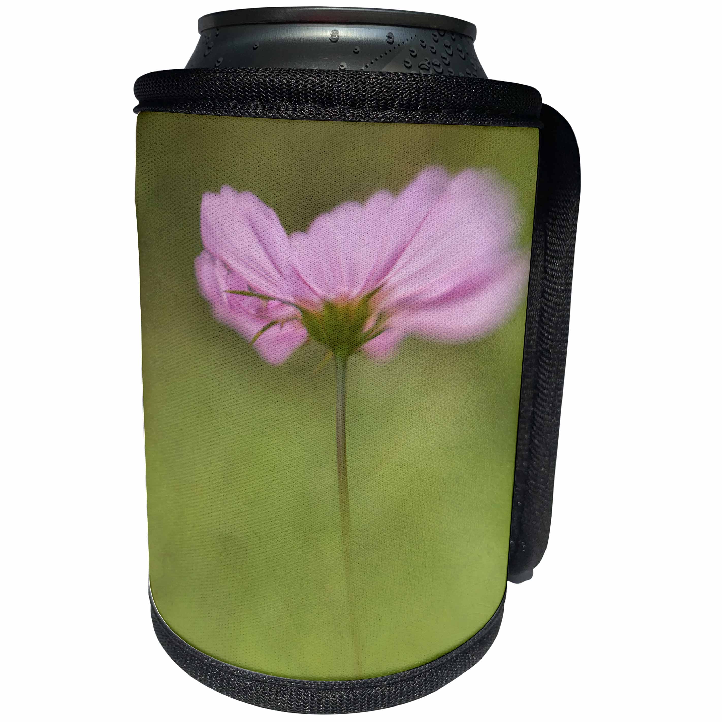 3dRose Danita Delimont - Flowers - USA, Maine, Harpswell. Cosmos flower. - Can Cooler Bottle Wrap (cc_259395)