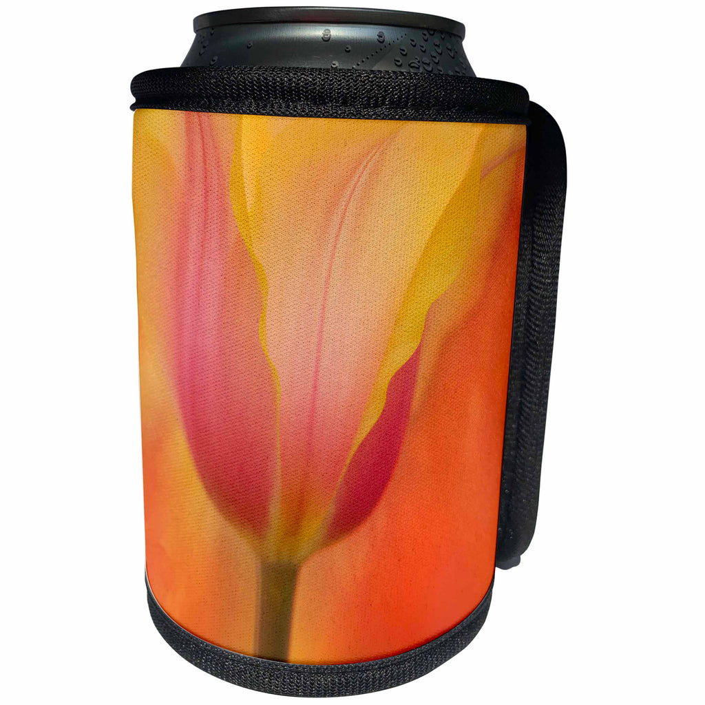3dRose Danita Delimont - Flowers - USA, Maine, Harpswell. Tulip on textured background. - Can Cooler Bottle Wrap (cc_259406)