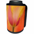 3dRose Danita Delimont - Flowers - USA, Maine, Harpswell. Tulip on textured background. - Can Cooler Bottle Wrap (cc_259406)