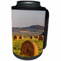 3dRose Danita Delimont - Agriculture - Hay bales in a field on the Appalachian Trail. Merrill, Maine - Can Cooler Bottle Wrap (cc_259409)