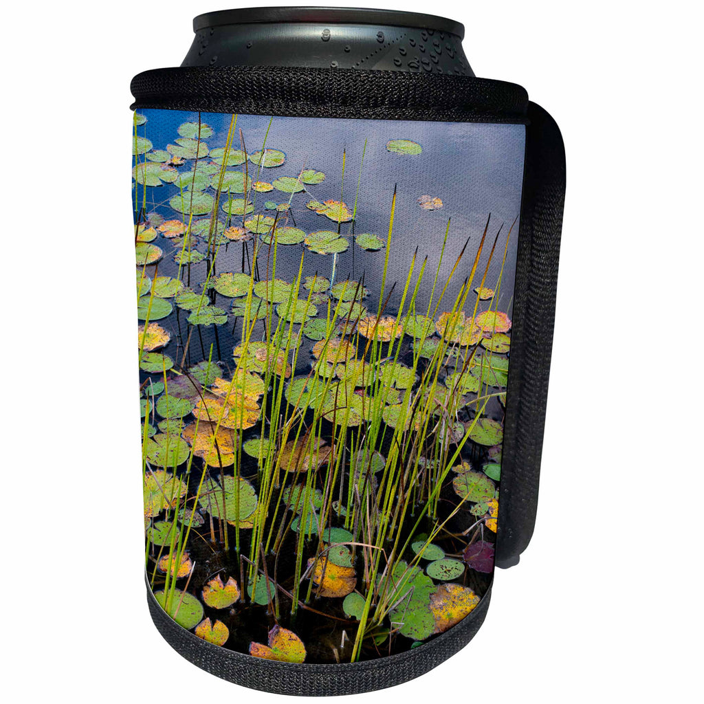 3dRose Danita Delimont - Lakes - Maine, Acadia National Park, Reflections on a lily pad covered pond. - Can Cooler Bottle Wrap (cc_259415)
