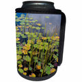 3dRose Danita Delimont - Lakes - Maine, Acadia National Park, Reflections on a lily pad covered pond. - Can Cooler Bottle Wrap (cc_259415)