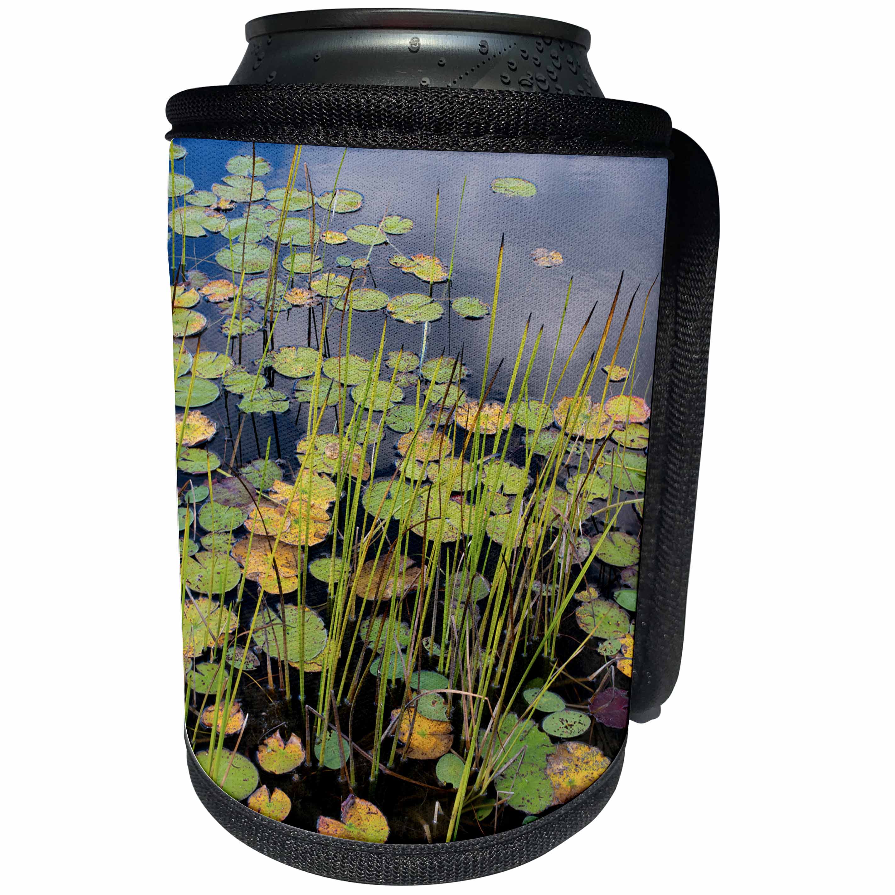 3dRose Danita Delimont - Lakes - Maine, Acadia National Park, Reflections on a lily pad covered pond. - Can Cooler Bottle Wrap (cc_259415)