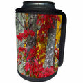 3dRose Danita Delimont - Trees - USA, Maine, Acadia National Park, Autumn foliage - Can Cooler Bottle Wrap (cc_259416)