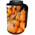 3dRose Danita Delimont - Holiday - USA, Massachusetts, Wareham, pumpkins - Can Cooler Bottle Wrap (cc_259427)