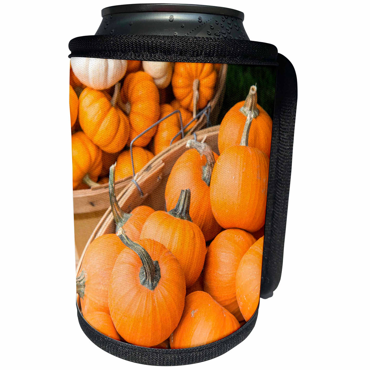 3dRose Danita Delimont - Holiday - USA, Massachusetts, Wareham, pumpkins - Can Cooler Bottle Wrap (cc_259427)
