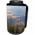 3dRose Danita Delimont - Lakes - Reflections in a tidal marsh, Wellfleet, Massachusetts. - Can Cooler Bottle Wrap (cc_259434)