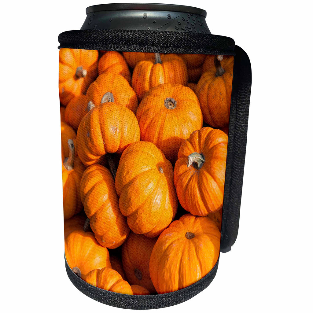 3dRose Danita Delimont - Holiday - USA, Massachusetts. Gourd. - Can Cooler Bottle Wrap (cc_259446)