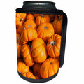 3dRose Danita Delimont - Holiday - USA, Massachusetts. Gourd. - Can Cooler Bottle Wrap (cc_259446)