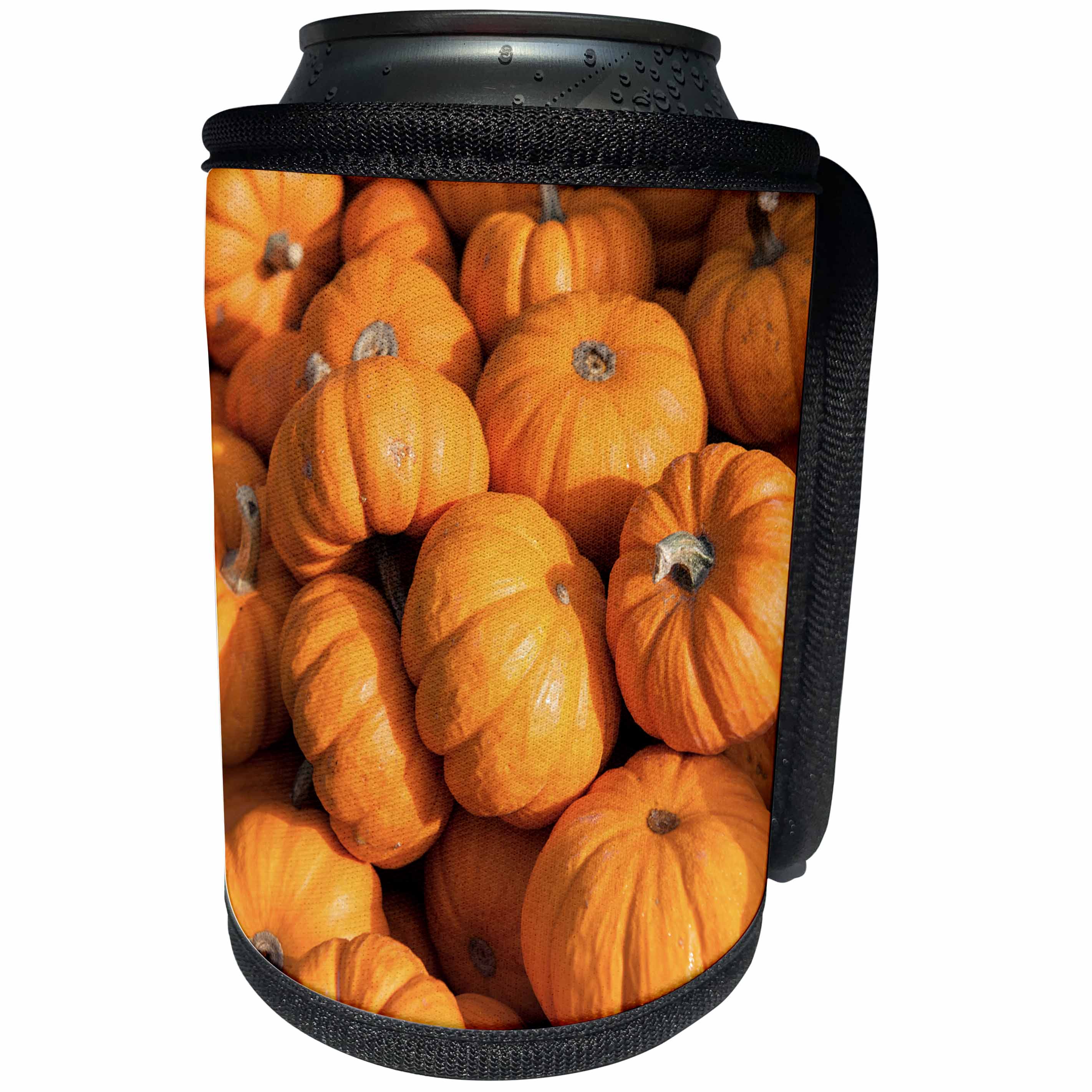 3dRose Danita Delimont - Holiday - USA, Massachusetts. Gourd. - Can Cooler Bottle Wrap (cc_259446)