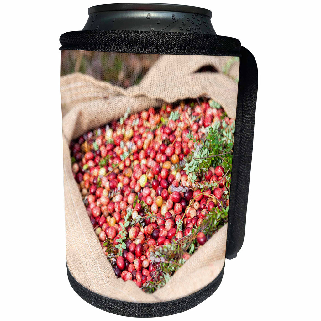 3dRose Danita Delimont - Food - USA, Massachusetts, Wareham, cranberries newly harvested - Can Cooler Bottle Wrap (cc_259448)