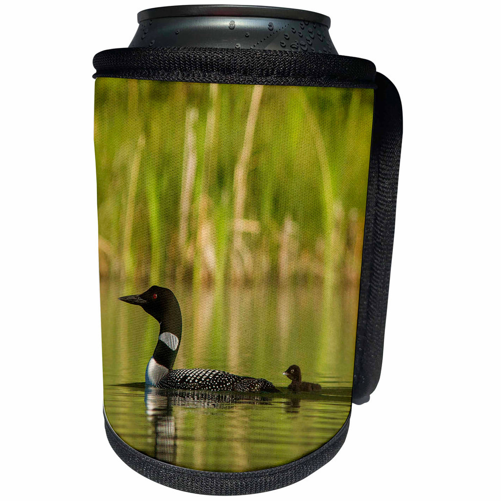 3dRose Danita Delimont - Birds - Common loon with chick on small mountain lake near Whitefish, Montana - Can Cooler Bottle Wrap (cc_259576)