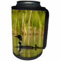 3dRose Danita Delimont - Birds - Common loon with chick on small mountain lake near Whitefish, Montana - Can Cooler Bottle Wrap (cc_259576)
