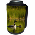 3dRose Danita Delimont - Birds - Common loon with newborn chick on a lake near Whitefish, Montana - Can Cooler Bottle Wrap (cc_259578)