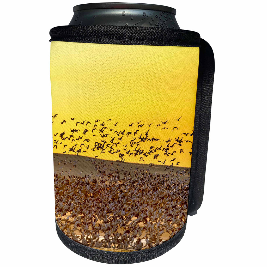3dRose Danita Delimont - Birds - Snow Geese spring migration, Freezeout Lake WMA, near Choteau, Montana - Can Cooler Bottle Wrap (cc_259587)
