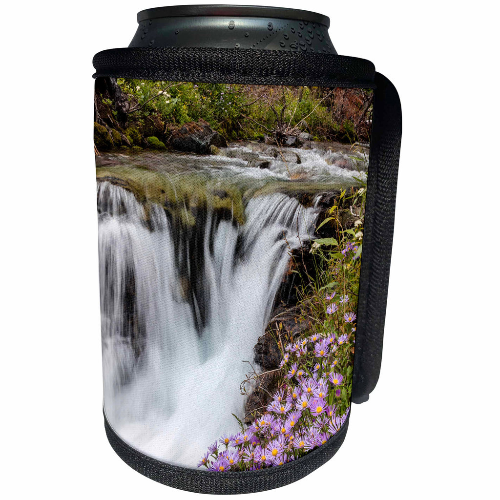 3dRose Danita Delimont - Waterfalls - Leafy aster along Baring Creek in Glacier National Park, Montana, USA - Can Cooler Bottle Wrap (cc_259589)