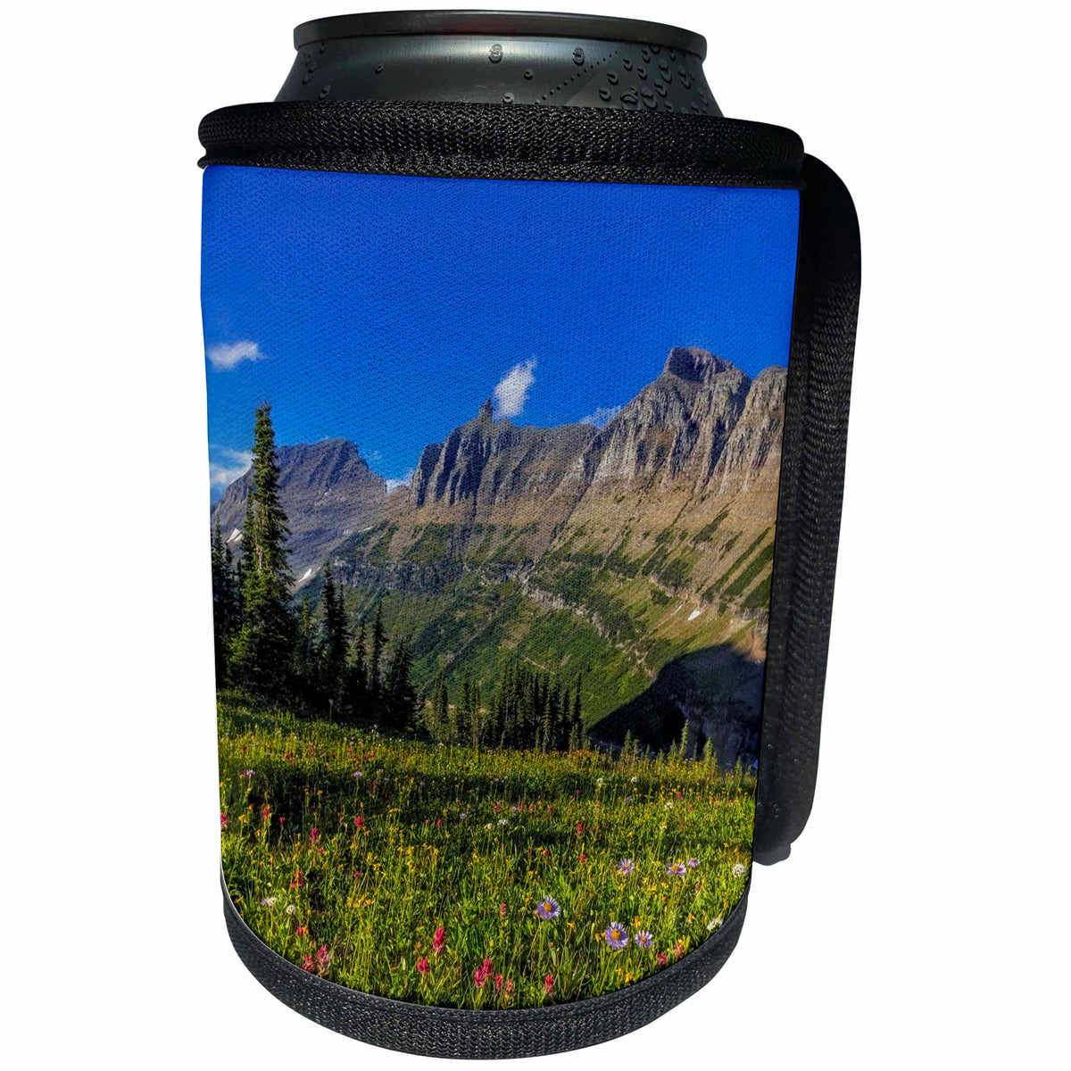 3dRose Danita Delimont - Flowers - Alpine wildflowers with Garden Wall, Logan Pass, Glacier NP, Montana - Can Cooler Bottle Wrap (cc_259594)