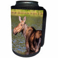 3dRose Danita Delimont - Moose - Female moose feeding in Glacier National Park, Montana, USA - Can Cooler Bottle Wrap (cc_259597)