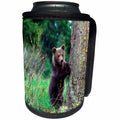 3dRose Danita Delimont - Baby Animals - Grizzly bear cub leaning against a tree looking out for predators - Can Cooler Bottle Wrap (cc_259610)