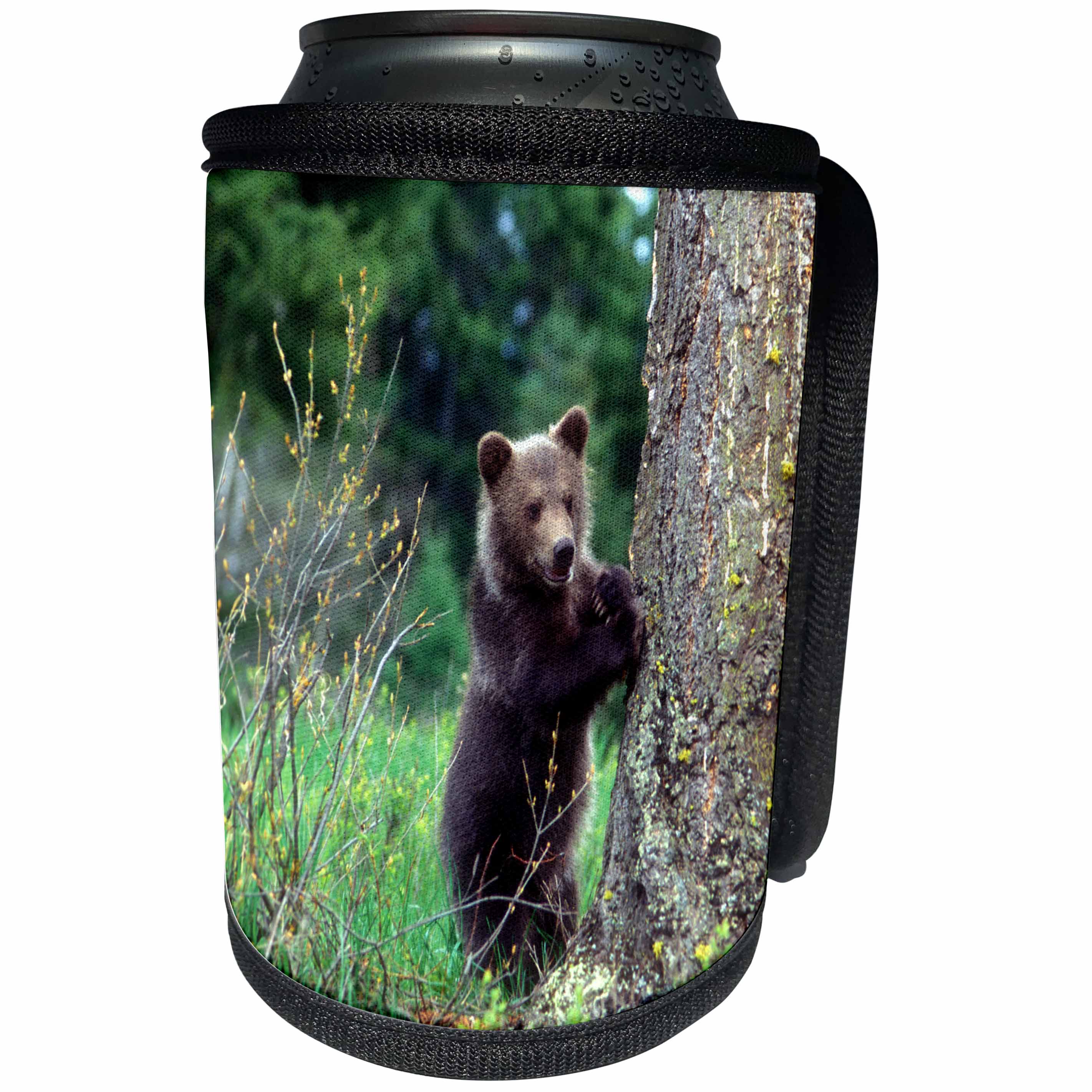 3dRose Danita Delimont - Baby Animals - Grizzly bear cub leaning against a tree looking out for predators - Can Cooler Bottle Wrap (cc_259610)