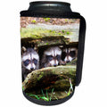 3dRose Danita Delimont - Baby Animals - Three young raccoons in a hollow log, Montana - Can Cooler Bottle Wrap (cc_259612)