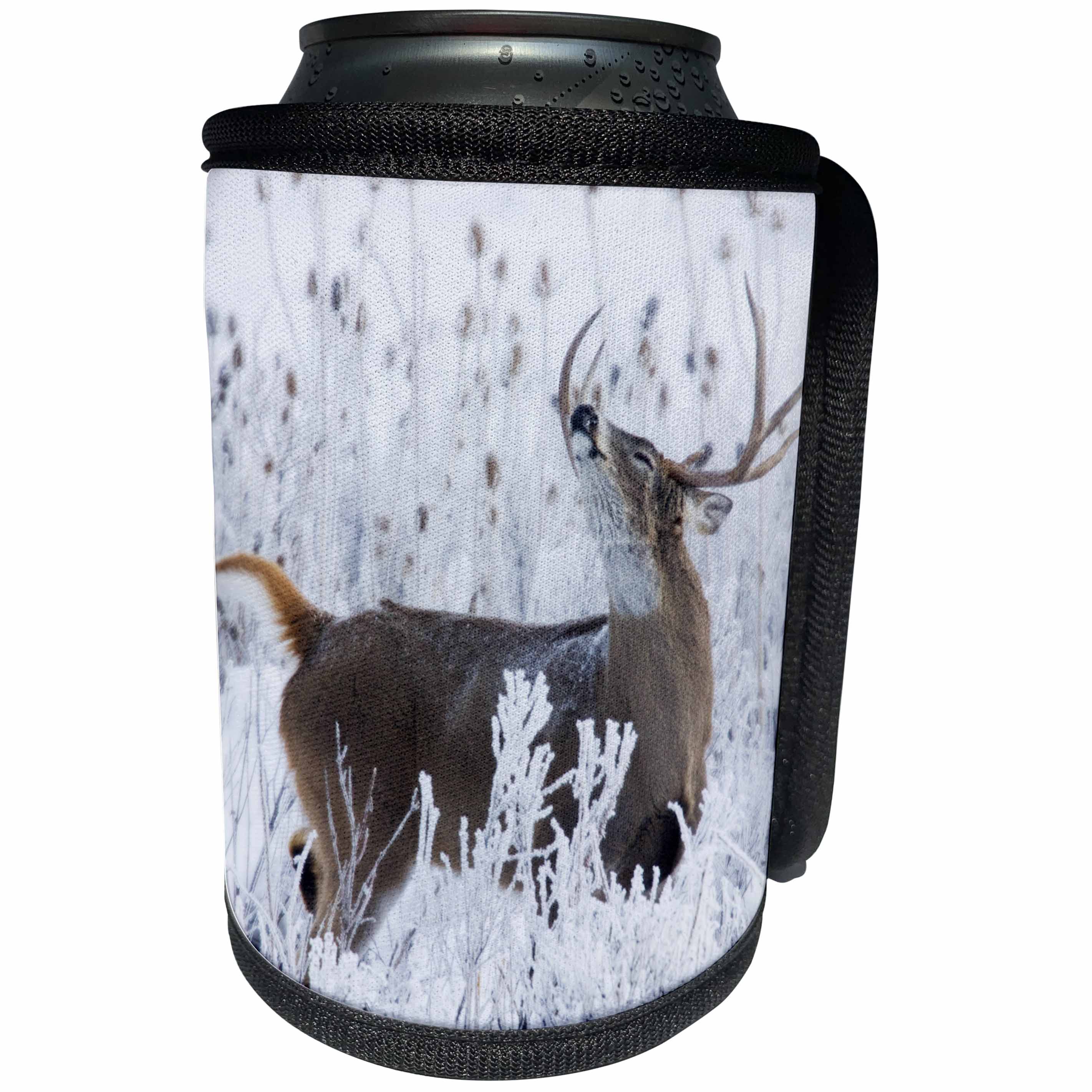 3dRose Danita Delimont - Deer - Alerted White-tail Deer Buck - Can Cooler Bottle Wrap (cc_259614)