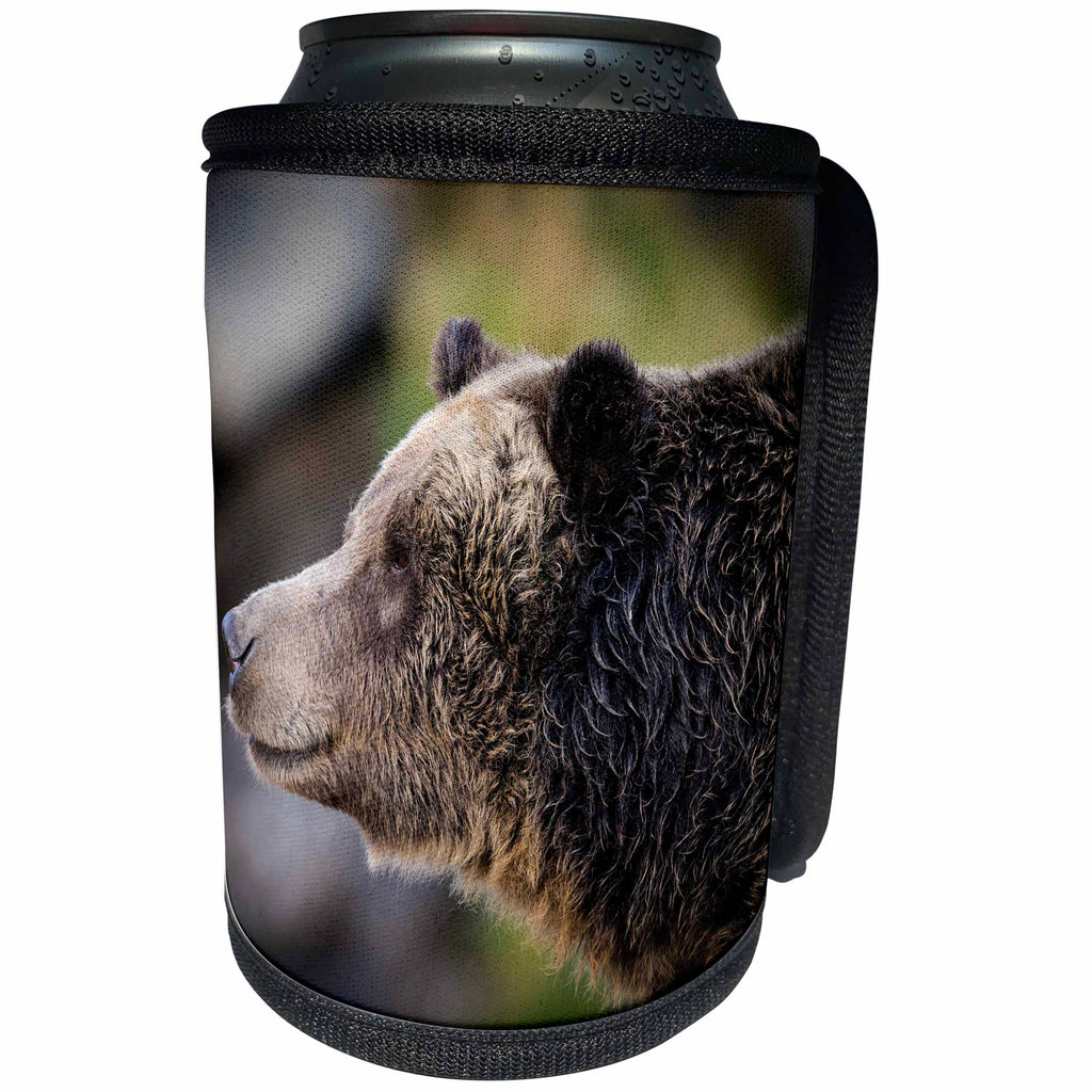 3dRose Danita Delimont - Bears - Grizzly bear profile, Ursus arctos, West Yellowstone, Montana - Can Cooler Bottle Wrap (cc_259616)