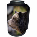 3dRose Danita Delimont - Bears - Grizzly bear profile, Ursus arctos, West Yellowstone, Montana - Can Cooler Bottle Wrap (cc_259616)