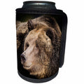 3dRose Danita Delimont - Bears - Grizzly bear headshot, Ursus arctos, West Yellowstone, Montana - Can Cooler Bottle Wrap (cc_259617)
