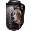 3dRose Danita Delimont - Bears - Grizzly Bear, West Yellowstone, Montana - Can Cooler Bottle Wrap (cc_259618)