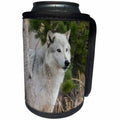 3dRose Danita Delimont - Wolves - Gray Wolf, Canis lupus, West Yellowstone, Montana - Can Cooler Bottle Wrap (cc_259619)
