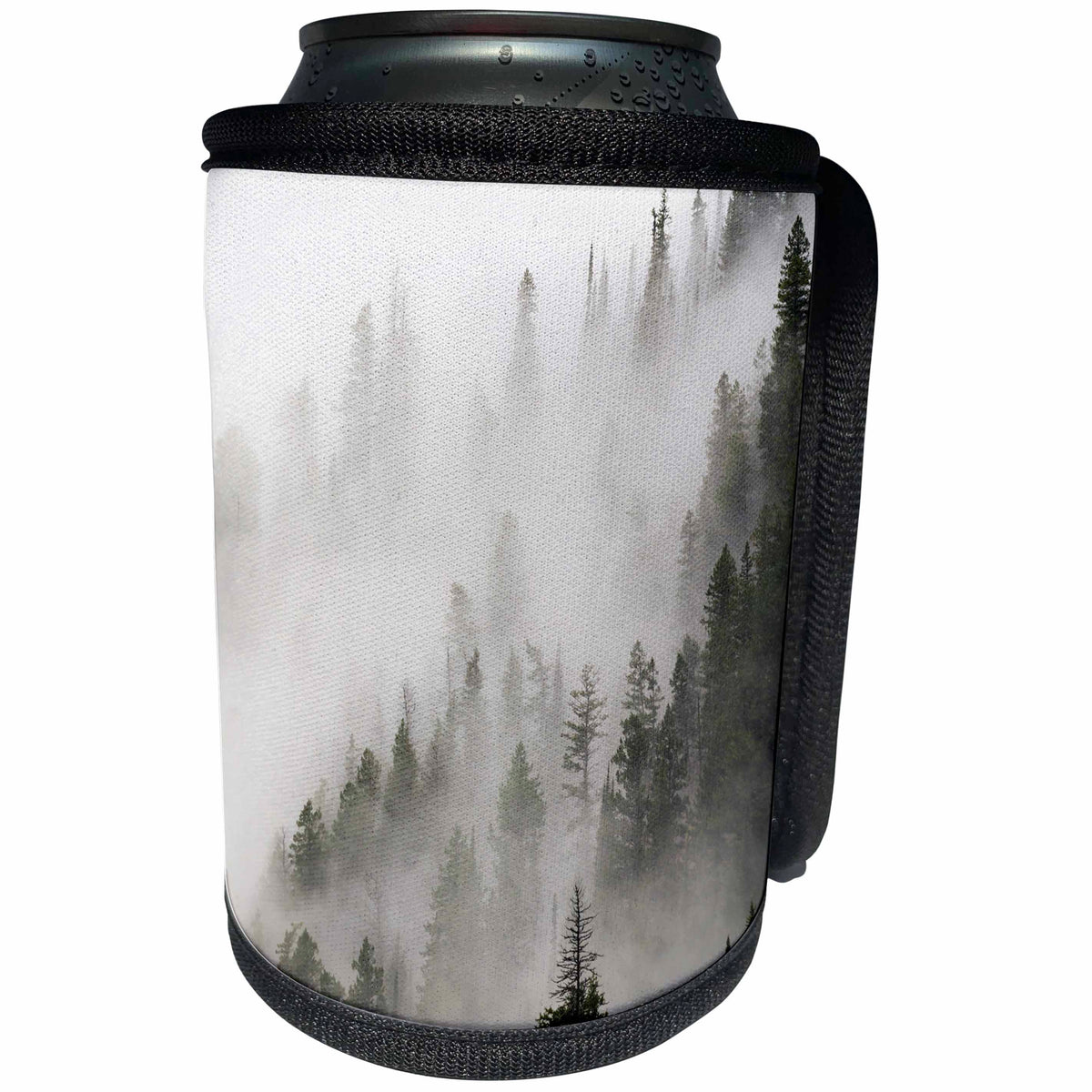 3dRose Danita Delimont - Weather - Cloud forest, Glacier National Park, Montana, Usa - Can Cooler Bottle Wrap (cc_259622)
