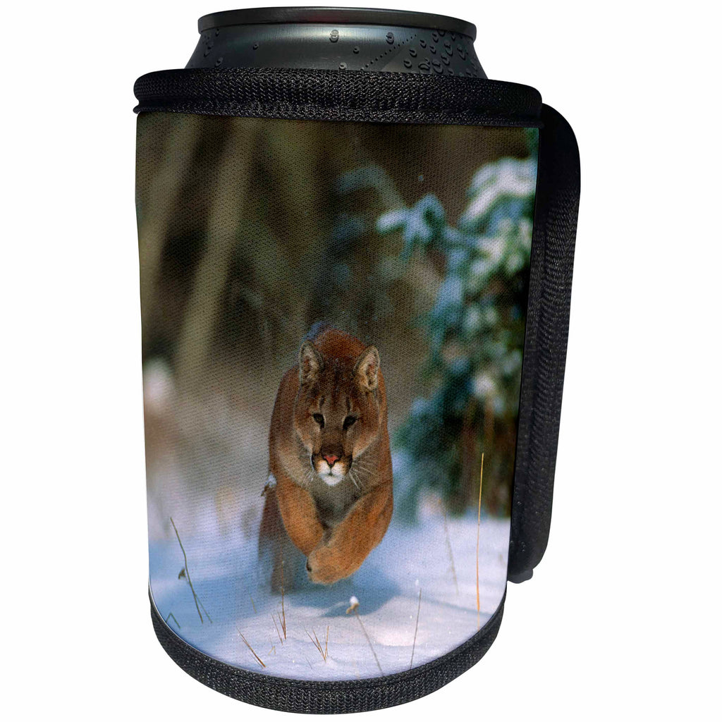 3dRose Danita Delimont - Puma - Mountain lion, Felis concolor, running, captive animal, Montana - Can Cooler Bottle Wrap (cc_259625)