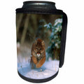 3dRose Danita Delimont - Puma - Mountain lion, Felis concolor, running, captive animal, Montana - Can Cooler Bottle Wrap (cc_259625)
