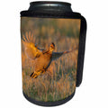 3dRose Danita Delimont - Birds - USA, Nebraska, Sand Hills. Greater prairie chicken male taking flight. - Can Cooler Bottle Wrap (cc_259681)