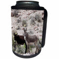 3dRose Danita Delimont - Donkeys - USA, Nevada, Beatty. Wild burros in desert. - Can Cooler Bottle Wrap (cc_259688)