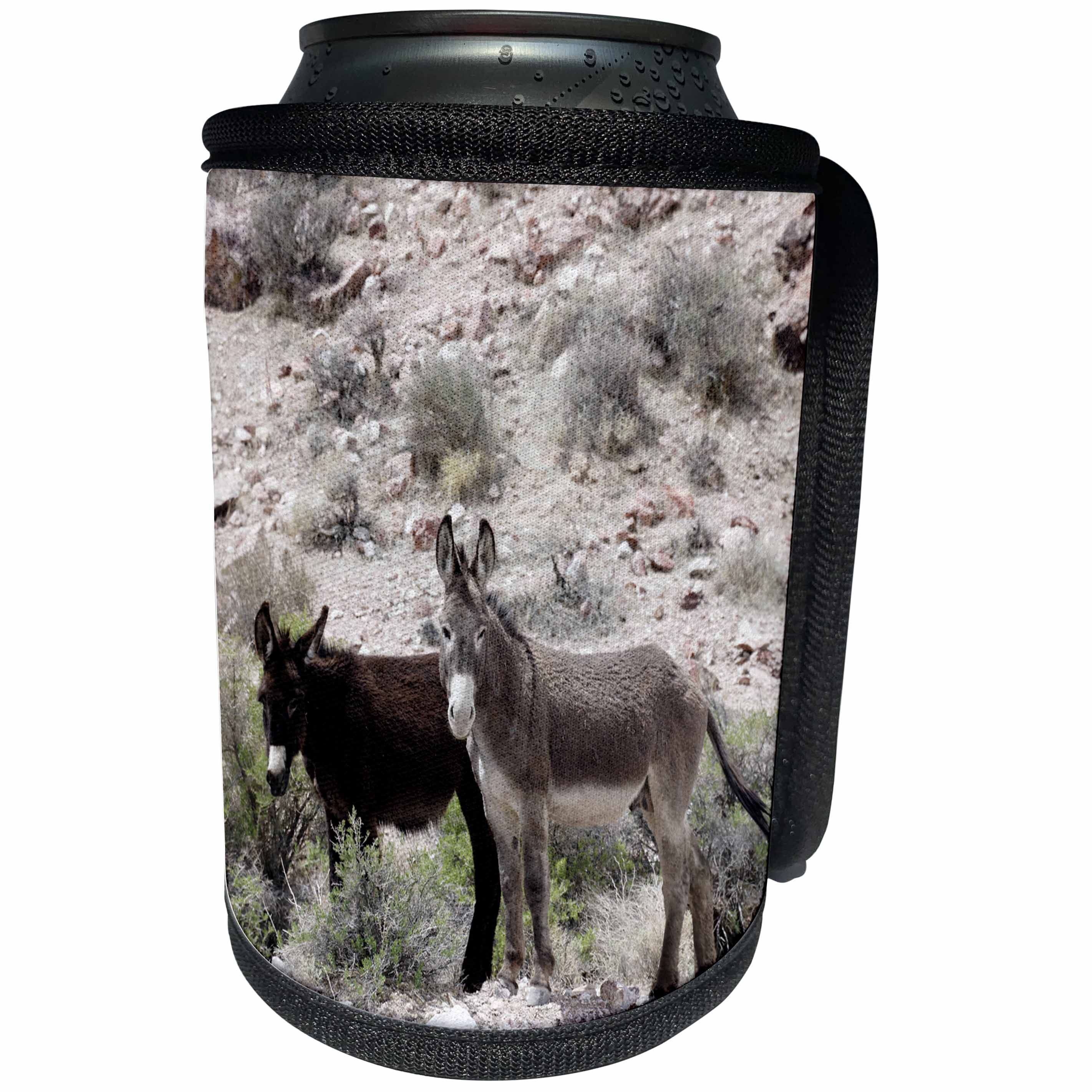 3dRose Danita Delimont - Donkeys - USA, Nevada, Beatty. Wild burros in desert. - Can Cooler Bottle Wrap (cc_259688)