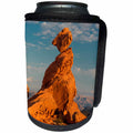 3dRose Danita Delimont - Rock Formations - USA, Nevada, Valley of Fire State Park. Sunset on Balancing Rock. - Can Cooler Bottle Wrap (cc_259694)