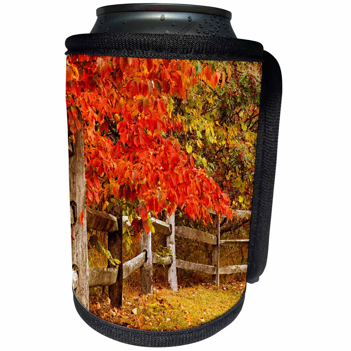 3dRose TNMGraphics Autumn - Autumn Walk Along Wooden Fence - Can Cooler Bottle Wrap (cc_25970)