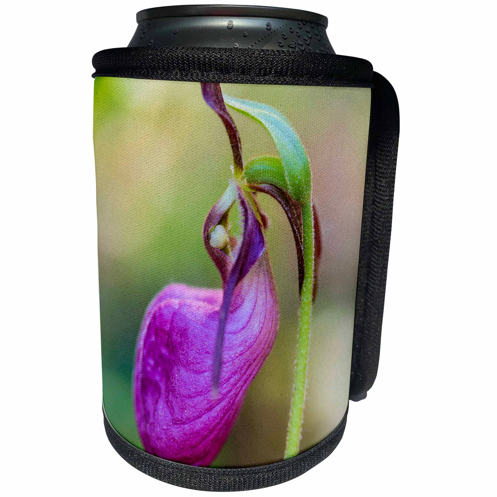 3dRose Danita Delimont - Flowers - Pink Ladys Slipper in a forest in Epping, New Hampshire. - Can Cooler Bottle Wrap (cc_259703)