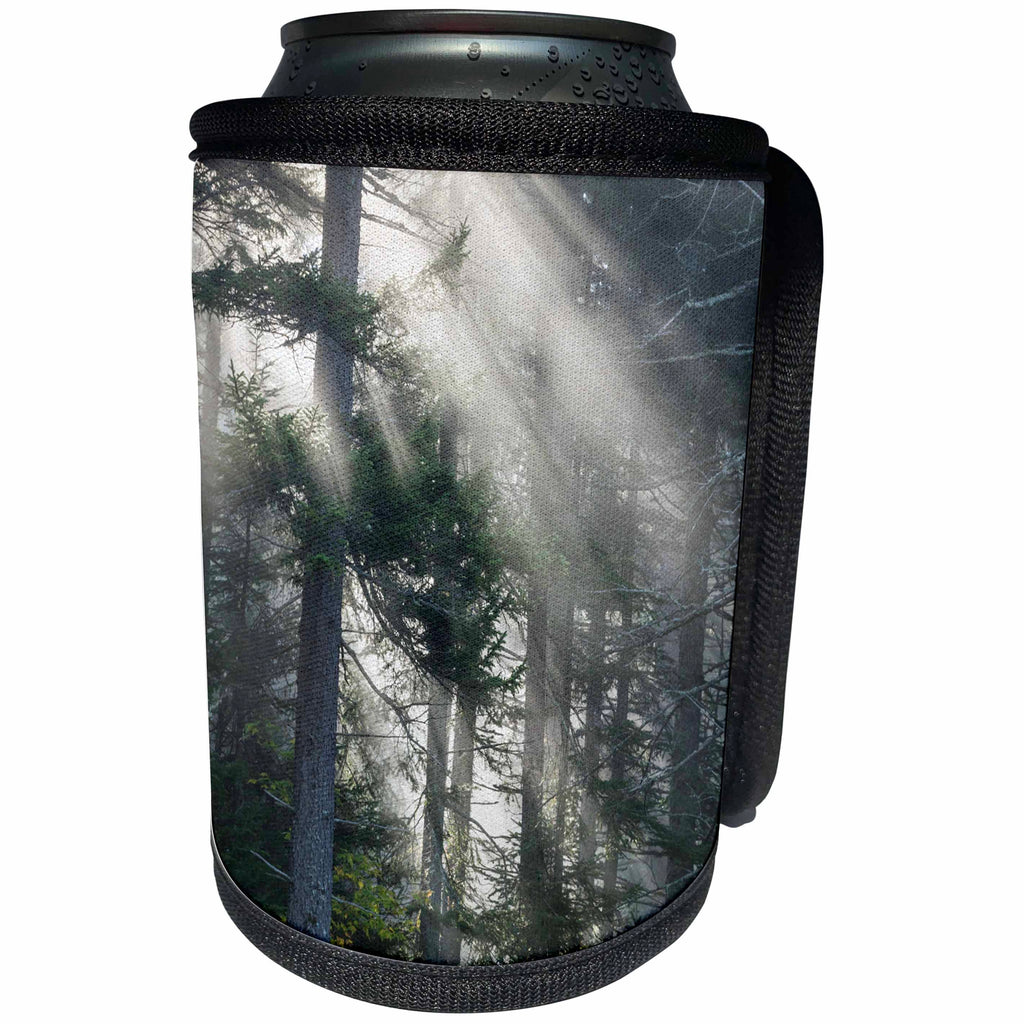 3dRose Danita Delimont - Trees - Usa, New Hampshire, White Mountains. Sun rays through pine trees. - Can Cooler Bottle Wrap (cc_259704)