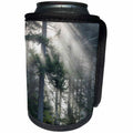3dRose Danita Delimont - Trees - Usa, New Hampshire, White Mountains. Sun rays through pine trees. - Can Cooler Bottle Wrap (cc_259704)