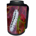 3dRose Danita Delimont - Insects - Usa, New Hampshire. White Wooly Bear Caterpillar eating a Maple leaf - Can Cooler Bottle Wrap (cc_259705)