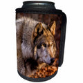 3dRose Danita Delimont - Wolves - USA, New Jersey, Columbia, Close-up of wolf. - Can Cooler Bottle Wrap (cc_259708)